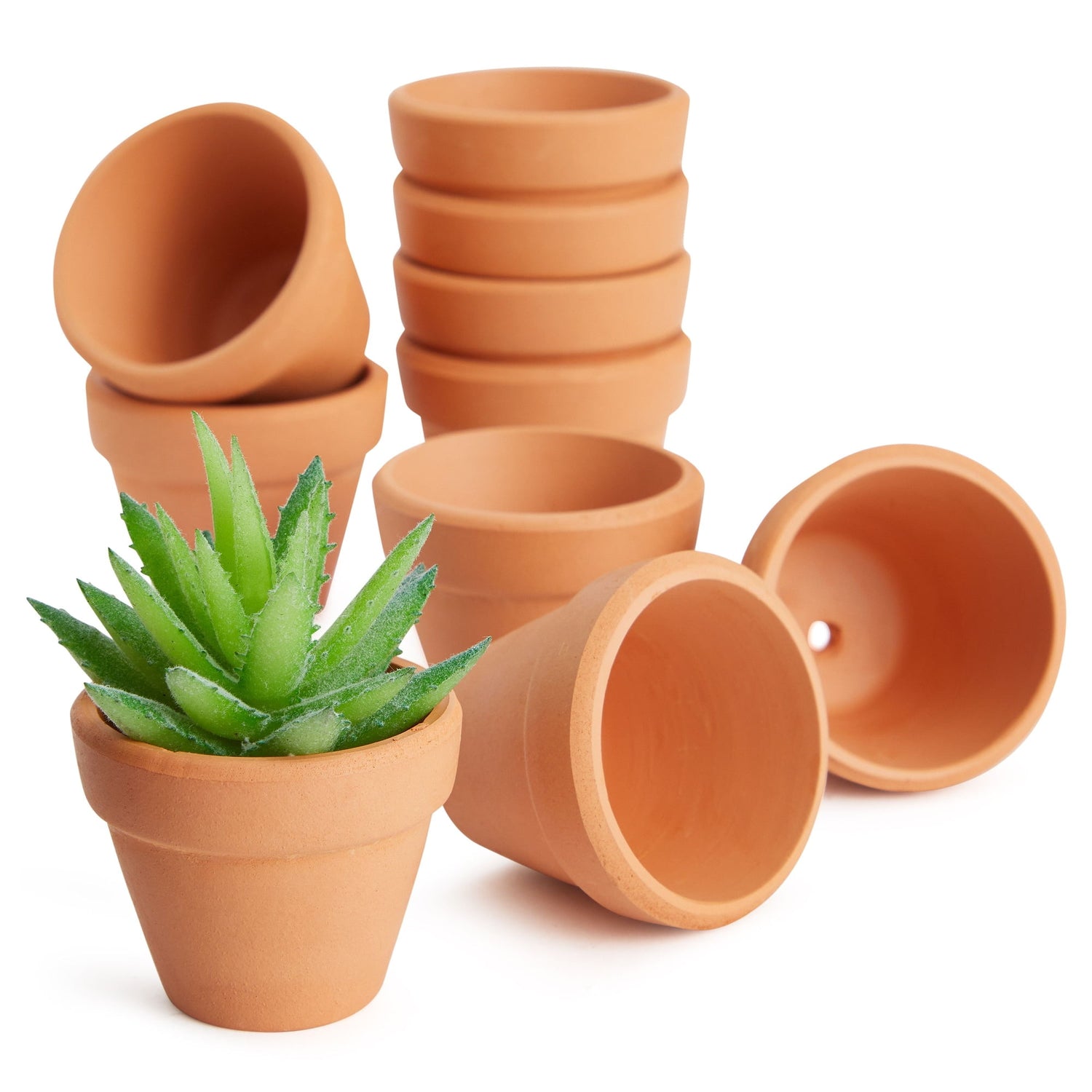 Plant Pots