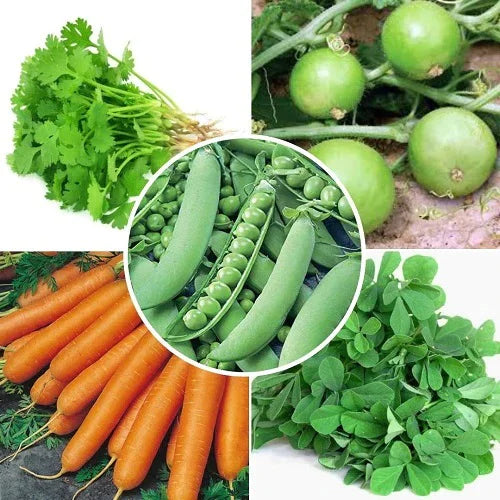 Hybrid Vegetable Seeds