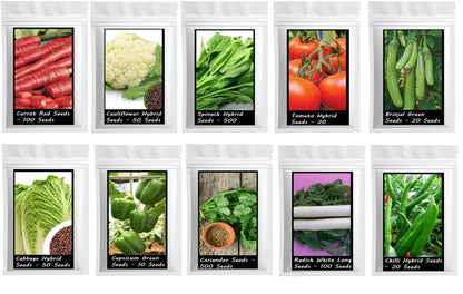 Winter Vegetable Seeds Combo - 10 Varieties (1370 Seeds) | Hybrid & High-Yield | Perfect for Winter Gardening