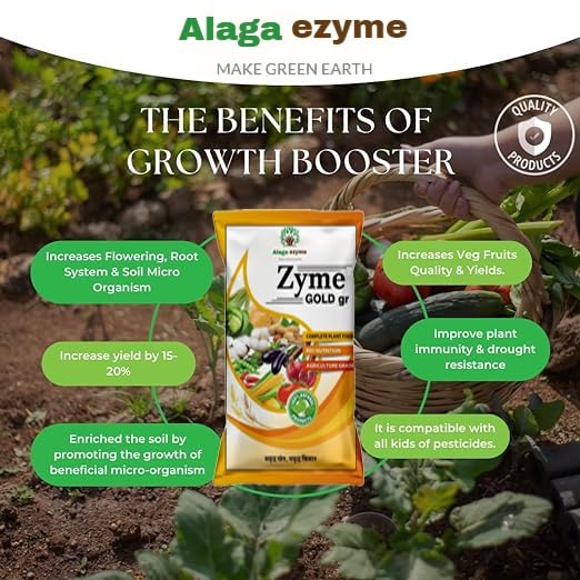 Algaezyme Zyme Fertilizer for Plants – 98% Zyme Fertilizer Granules for All Indoor & Outdoor Garden Plants (900g)