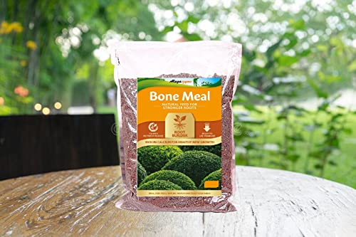 Alagaezyme Organic Fertilizer Bone Meal Powder-||-Fertilizer Manure for Plants (3.5 kg)