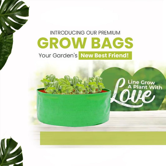 HDPE Grow Bags 250gsm (12x9 Inches) - Pack of 5, Durable Vegetable Planting Bags for Terrace and Home Gardening