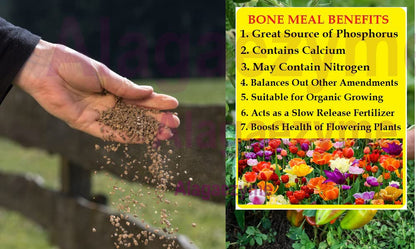 Alagaezyme Organic Fertilizer Bone Meal Powder-||-Fertilizer Manure for Plants (3.5 kg)