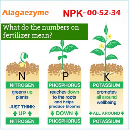 Fast 100% Water Soluble Fertilizer for Plants and Garden (Alagaezyme N.P.K. 00:52:34) (400 grm)