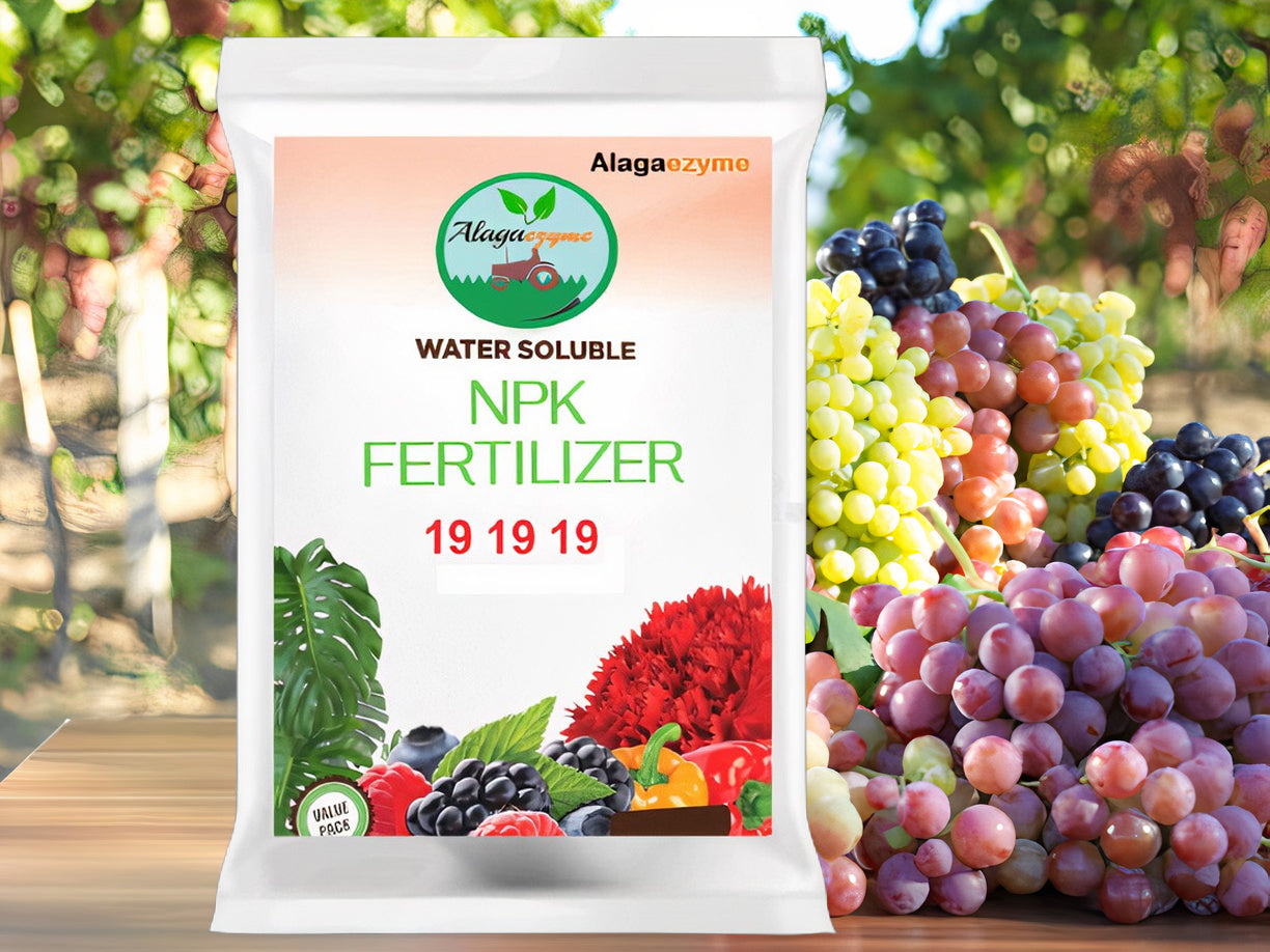 NPK 19-19-19 Fertilizer for All Plants Growth (900g) – Complete Plant Food for Gardening (Powder Form)