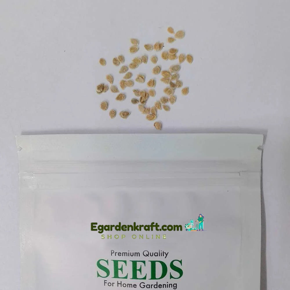 Tomato F1 Hybrid Seeds (Tamatar) (टमाटर के बीज)