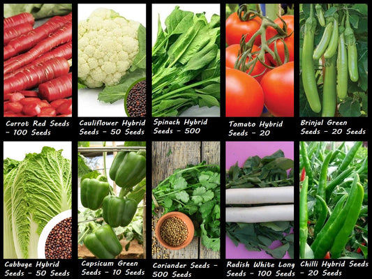 Winter Vegetable Seeds Combo - 10 Varieties (1370 Seeds) | Hybrid & High-Yield | Perfect for Winter Gardening