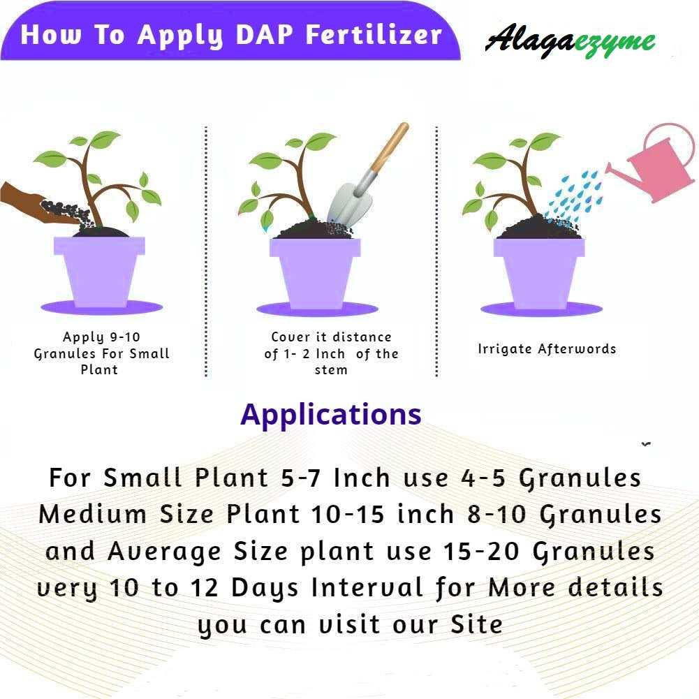 All Purpose Bio DAP Fertilizer for Home Plants & Gardening (900g) – Granules for Balanced Plant Nutrition