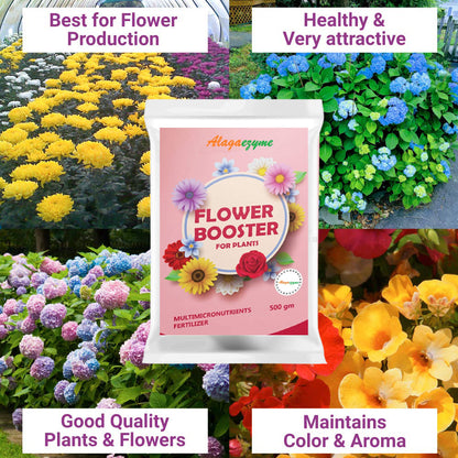 Alagaezyme Flower Booster Powder Fertilizer - Maximize Blooming Potential