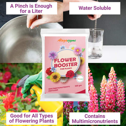 Alagaezyme Flower Booster Powder Fertilizer - Maximize Blooming Potential