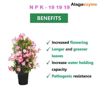 NPK 19-19-19 Fertilizer for All Plants Growth (900g) – Complete Plant Food for Gardening (Powder Form)