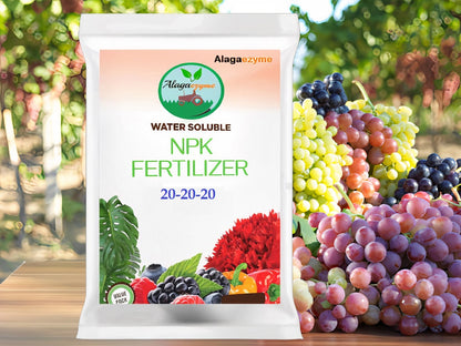 NPK 20-20-20 Fertilizer for Home Gardening (900g) – All-in-One Plant Food (Powder Form)