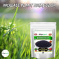 Organic Micronutrients Fertilizer (900g) – Enriched with Boron, Copper, Molybdenum, Iron, Manganese, Zinc, and Chlorine - Granules