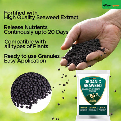 Seaweed Fertilizer for Plants (900g) – Organic Seaweed Granules & Extract for Growth Promotion